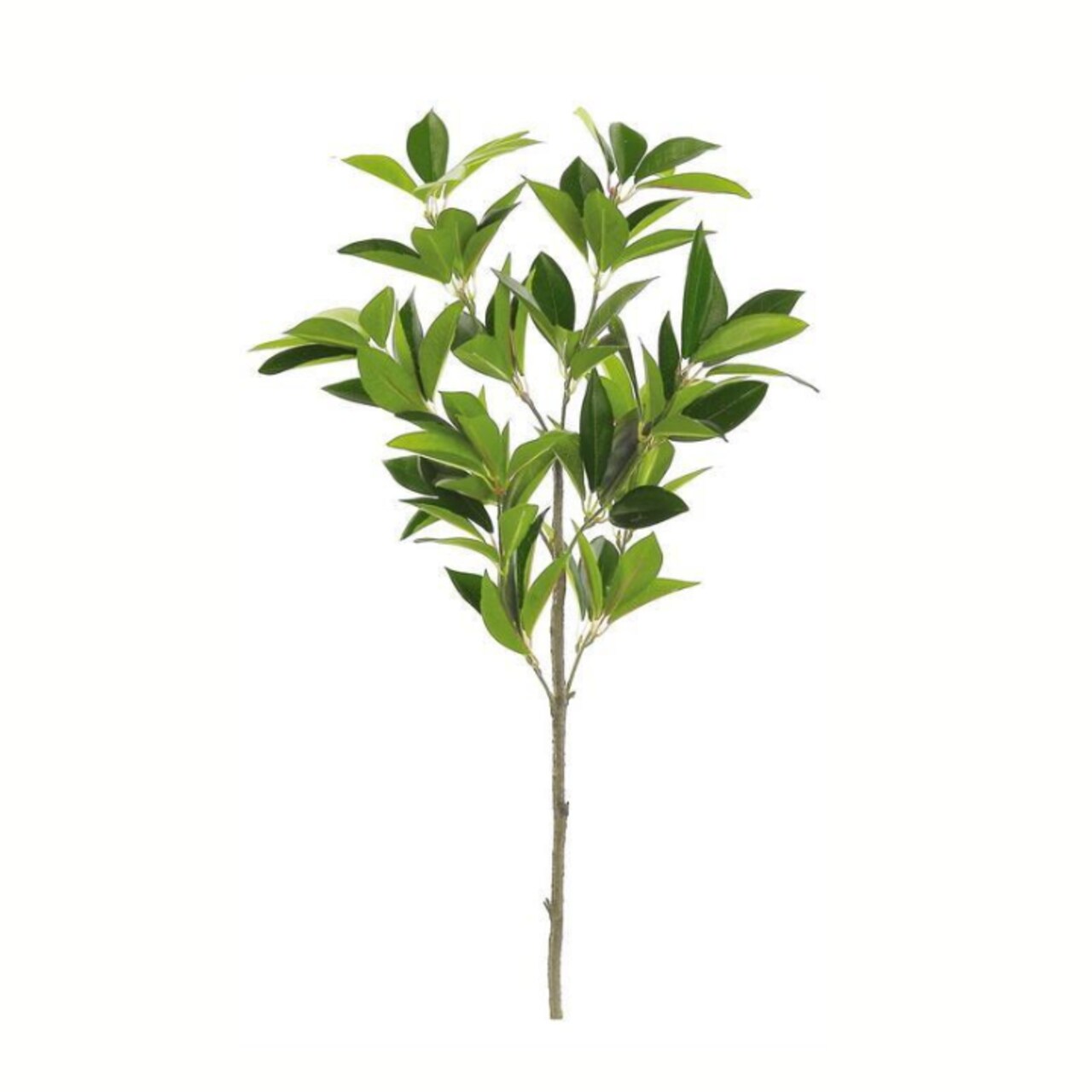 28" Faux Myrtle Leaf Branch | Artificial Greenery Stem-FL2666-G